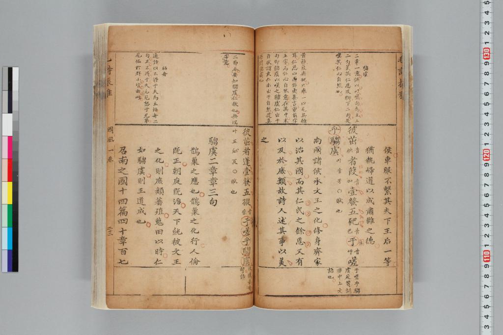 標準画像へ