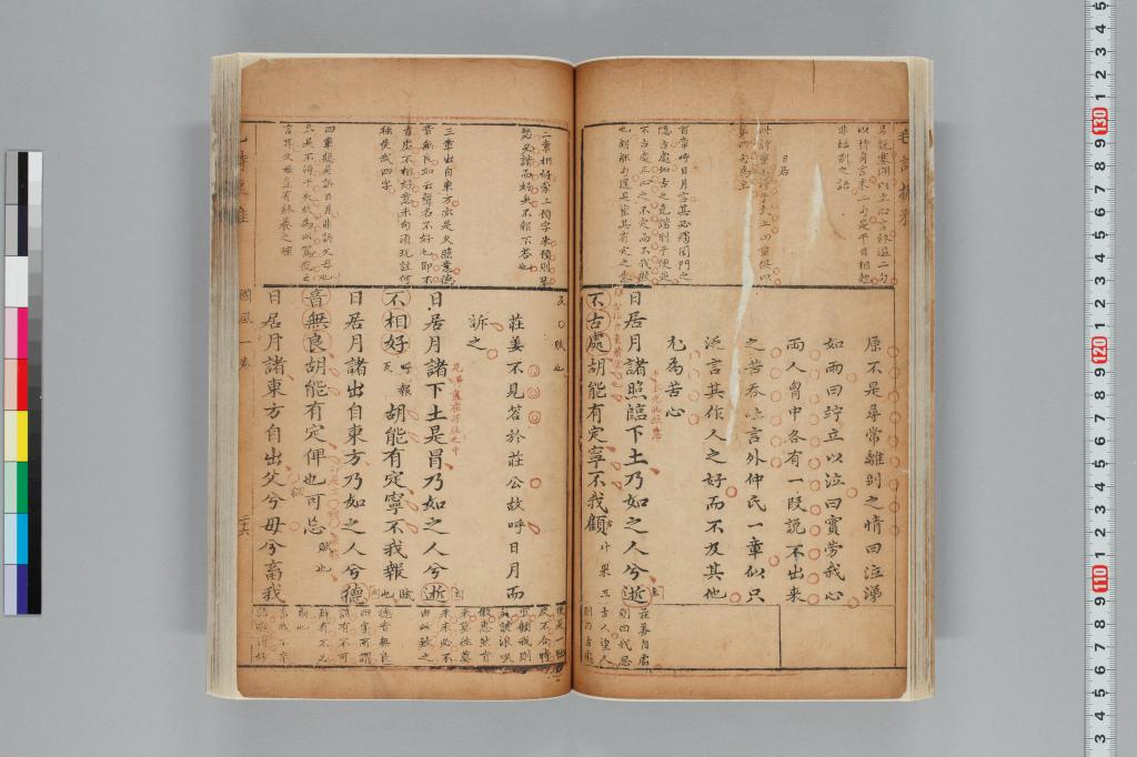標準画像へ