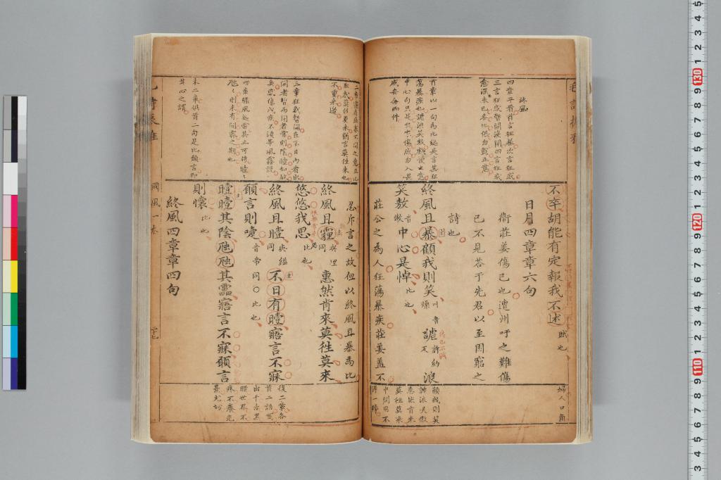 標準画像へ