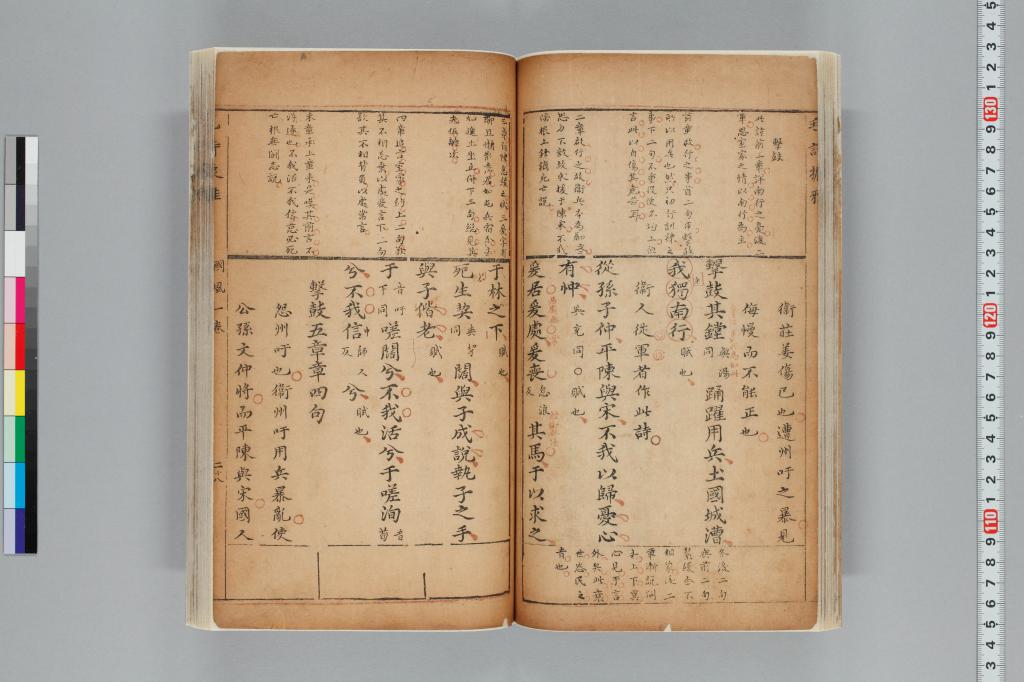 標準画像へ