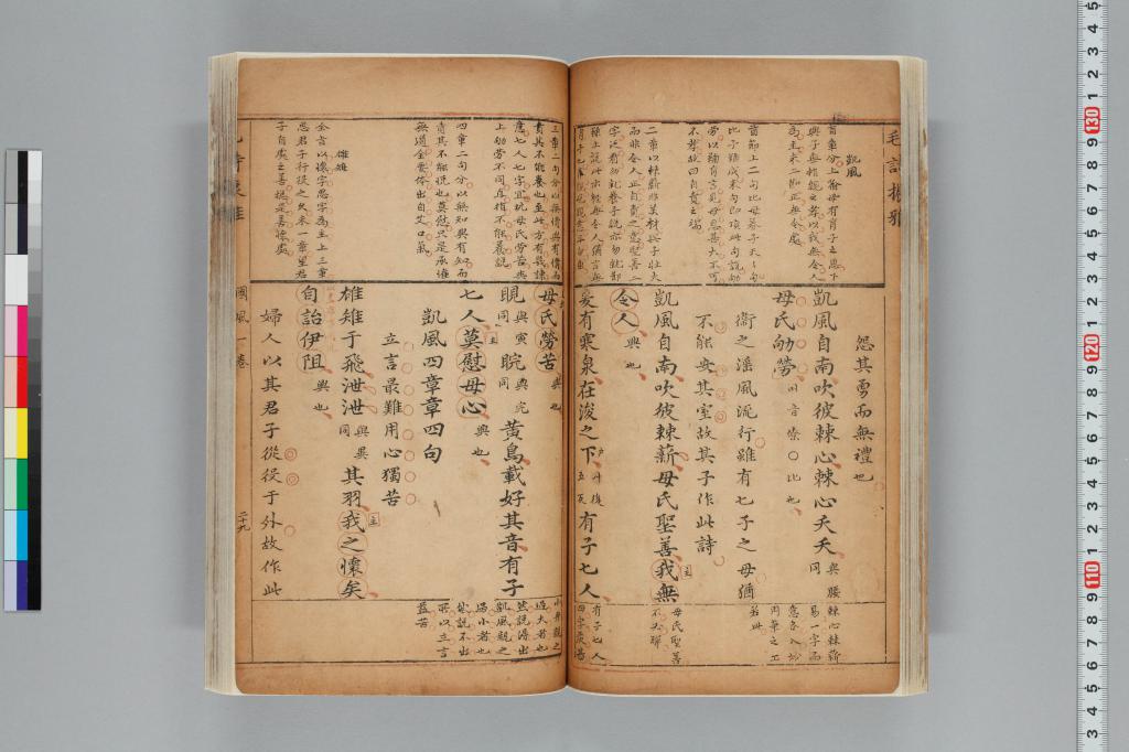 標準画像へ