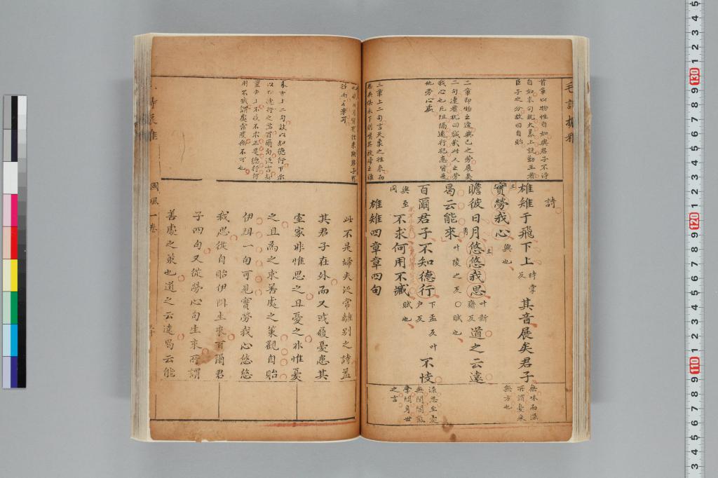 標準画像へ
