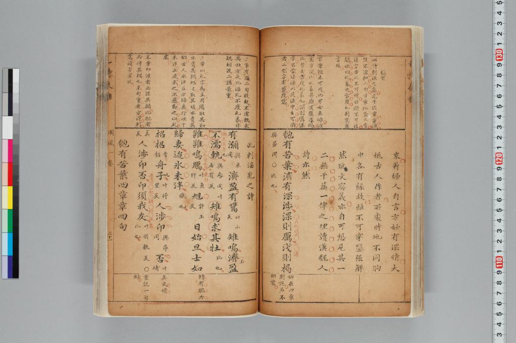 標準画像へ