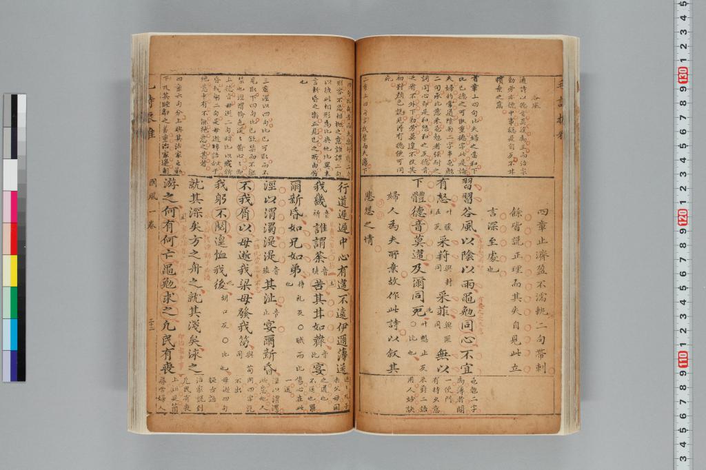 標準画像へ