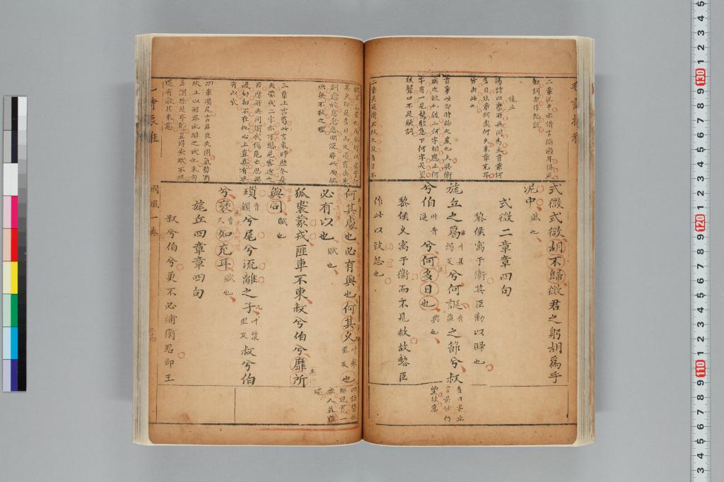 標準画像へ