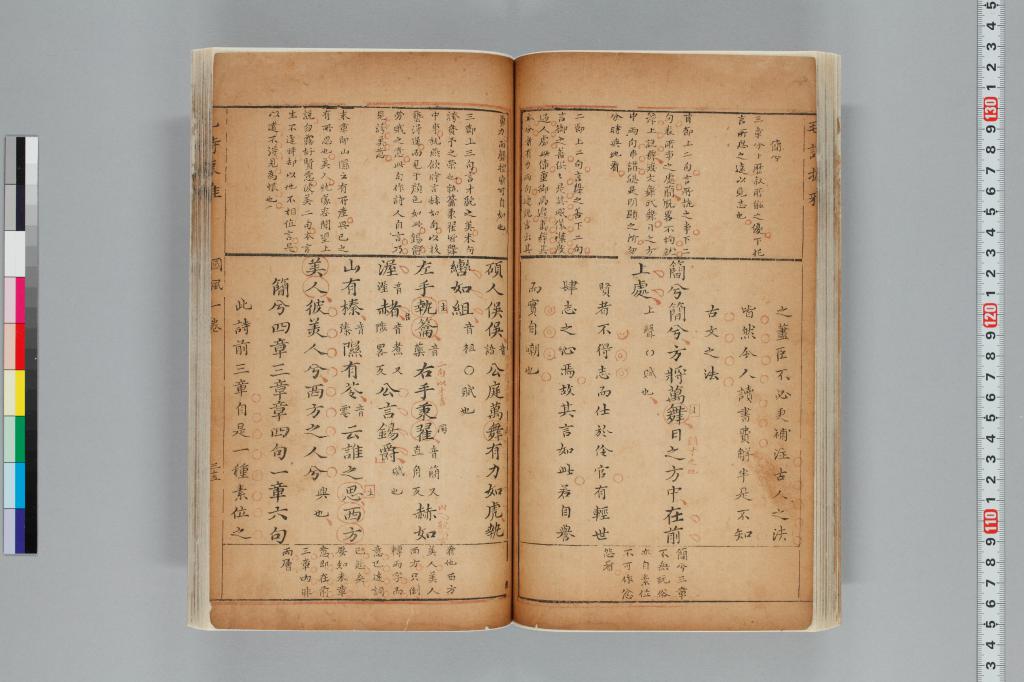 標準画像へ