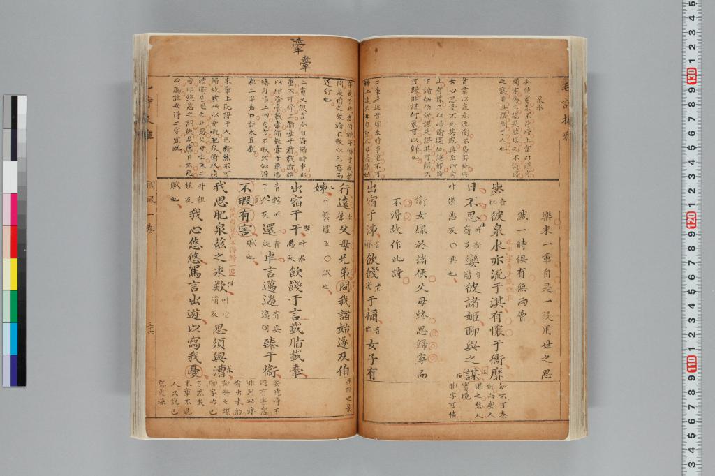標準画像へ