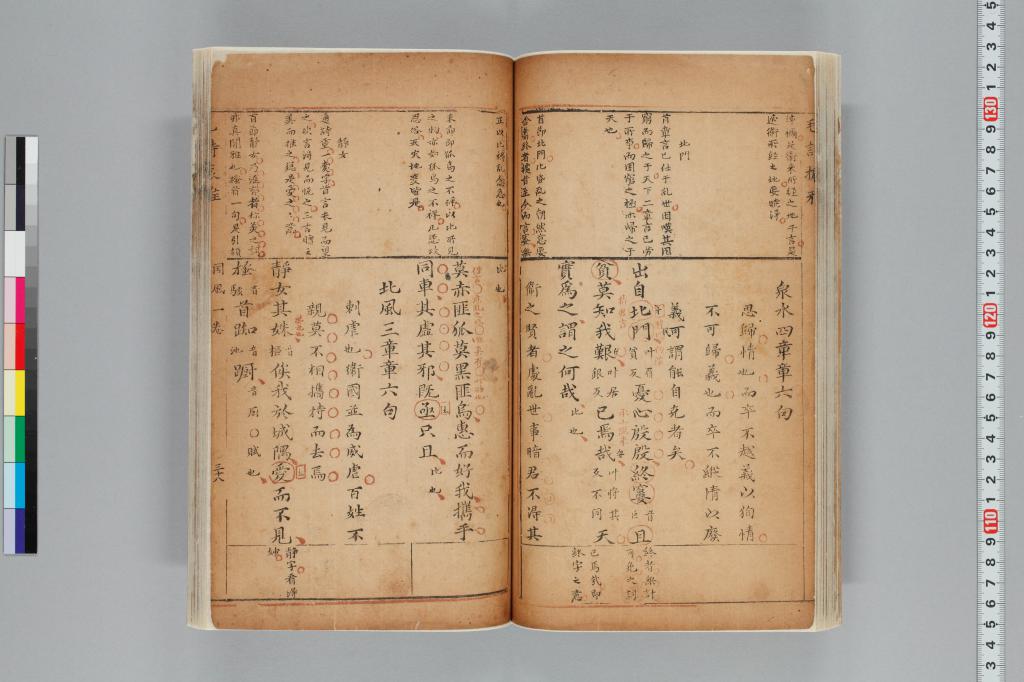 標準画像へ