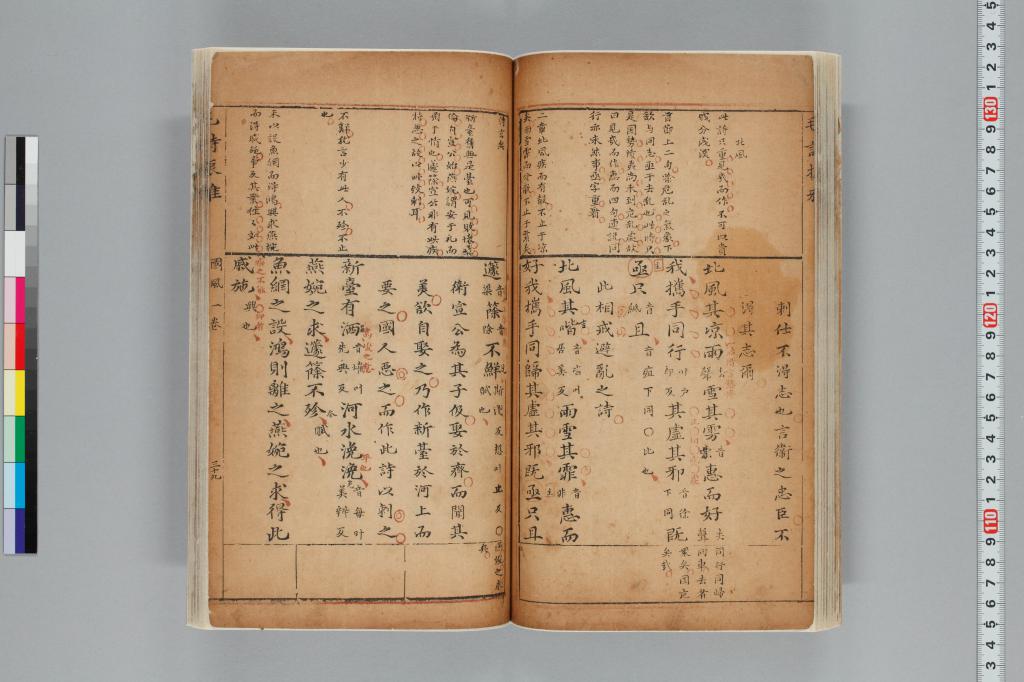 標準画像へ