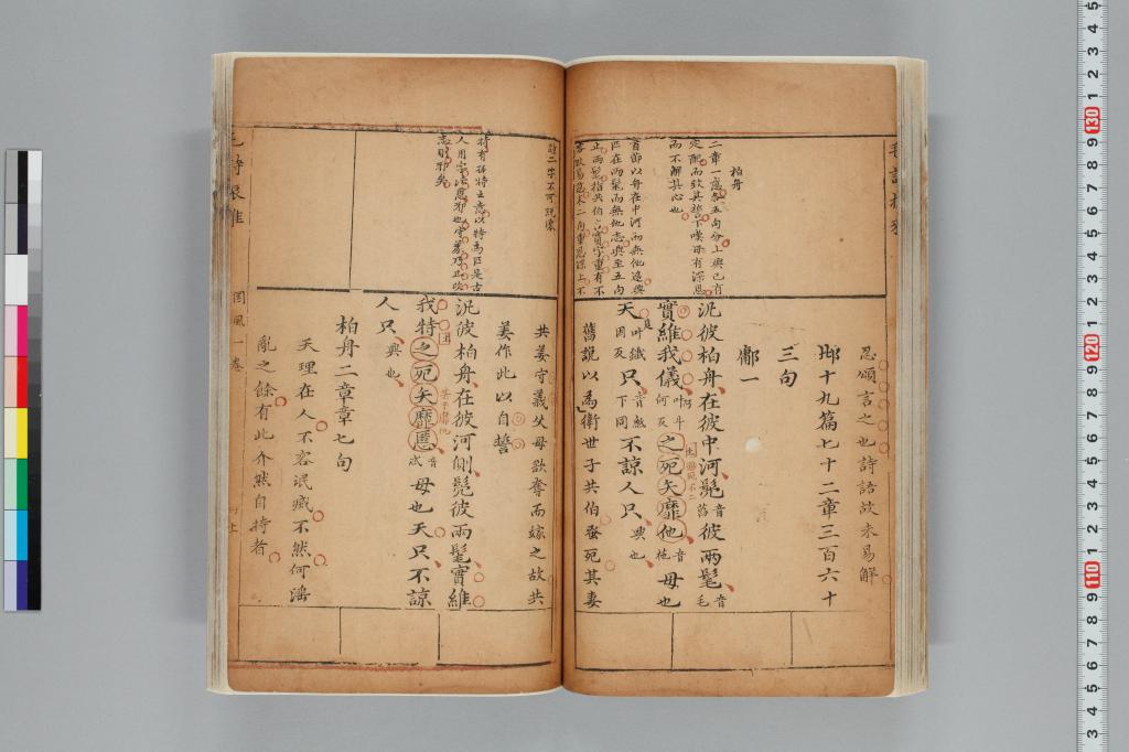 標準画像へ