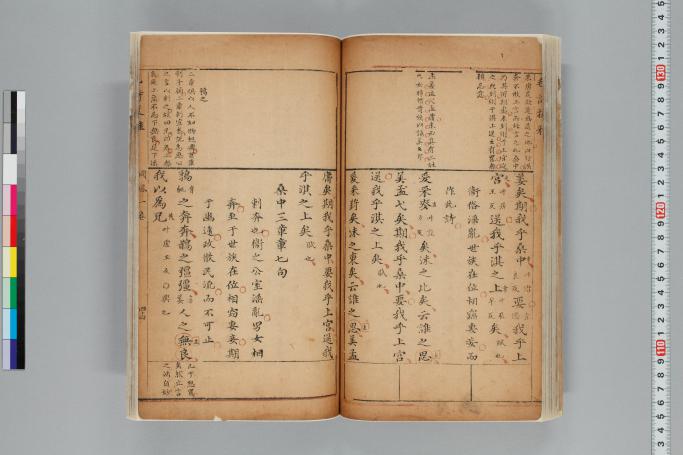 拡大画像へ