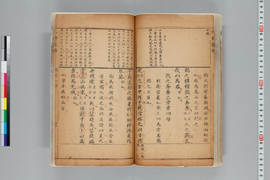 標準画像へ