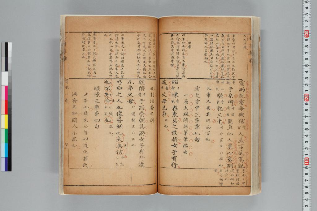 標準画像へ