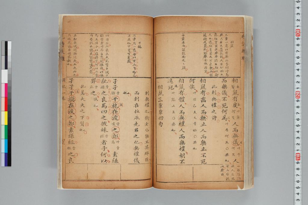 標準画像へ