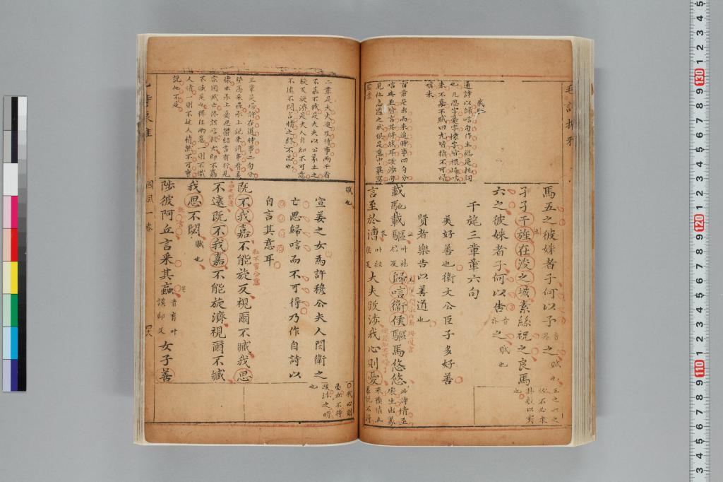 標準画像へ