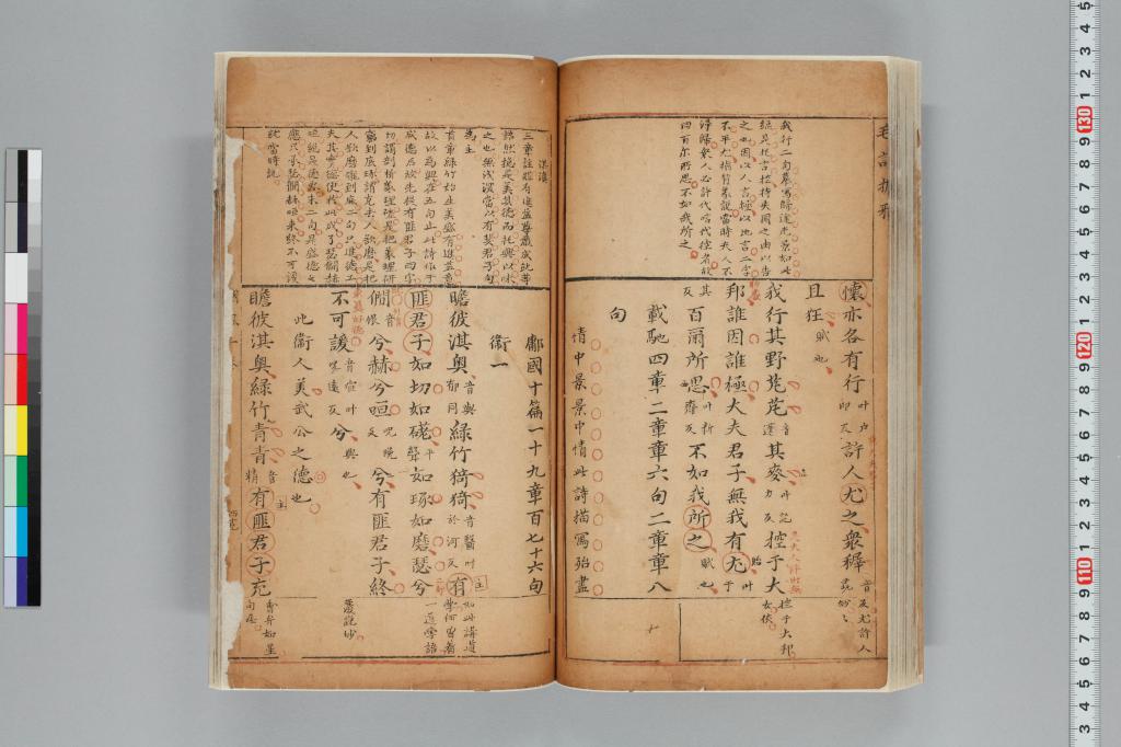 標準画像へ