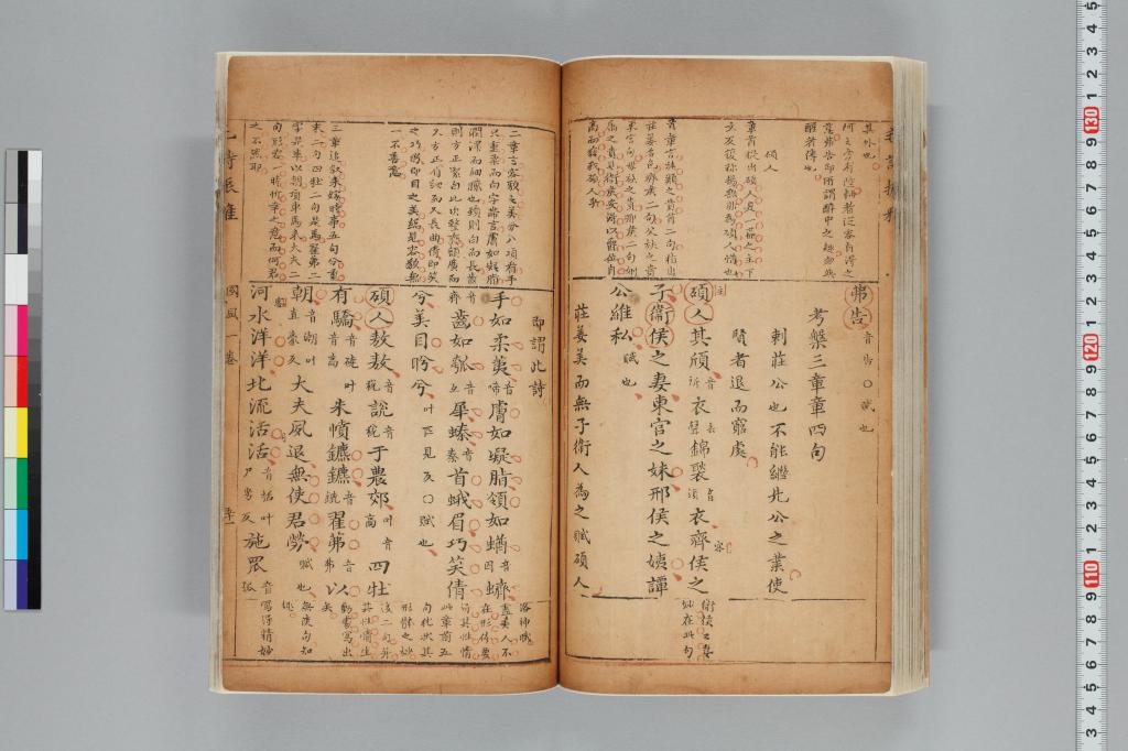標準画像へ