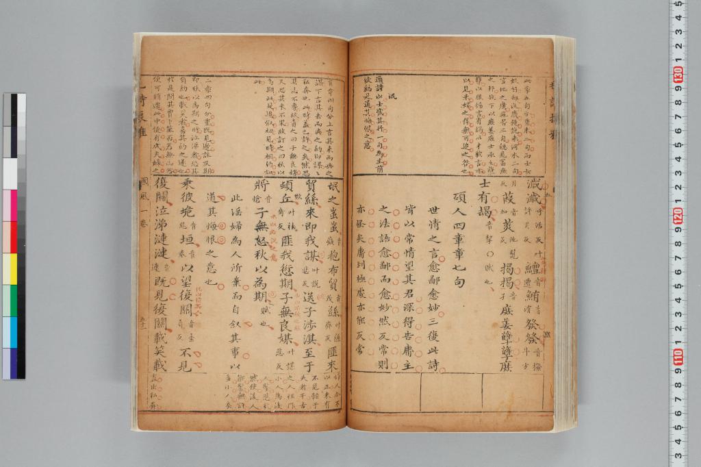 標準画像へ