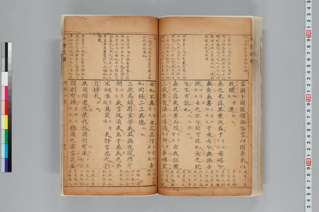 標準画像へ