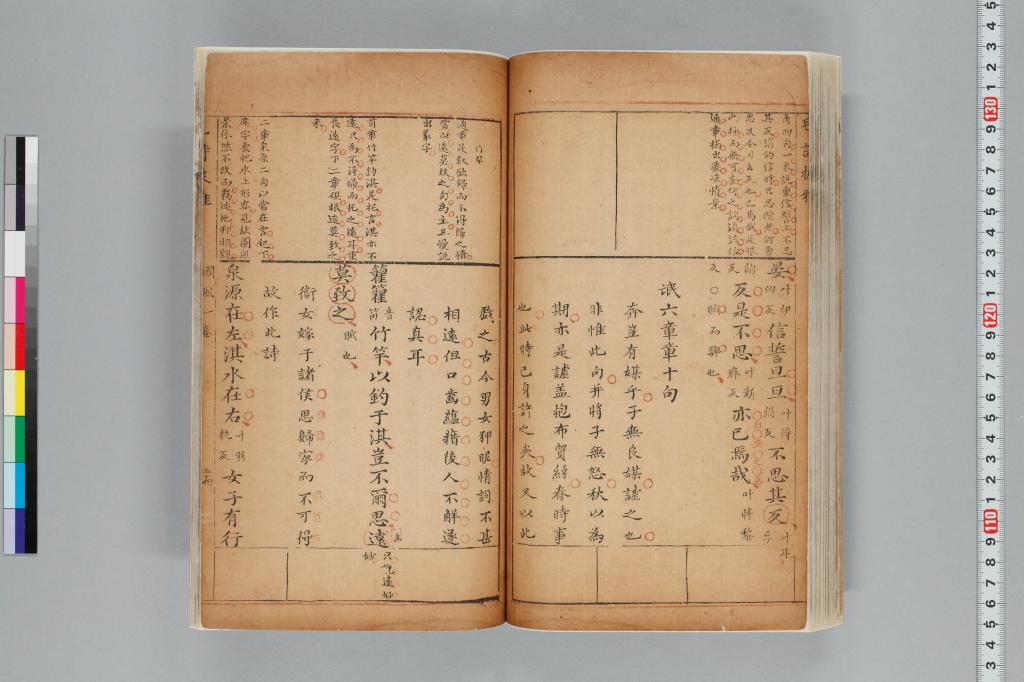 標準画像へ
