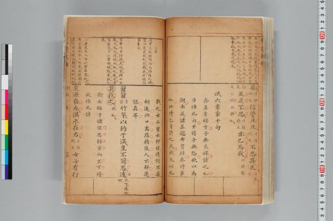 拡大画像へ