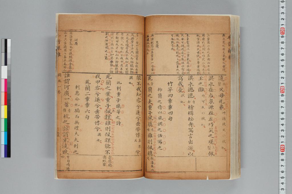 標準画像へ