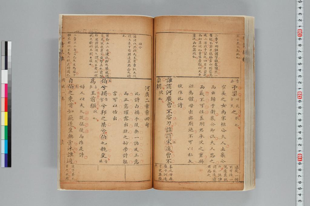 標準画像へ