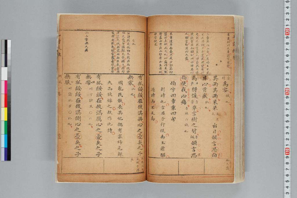標準画像へ