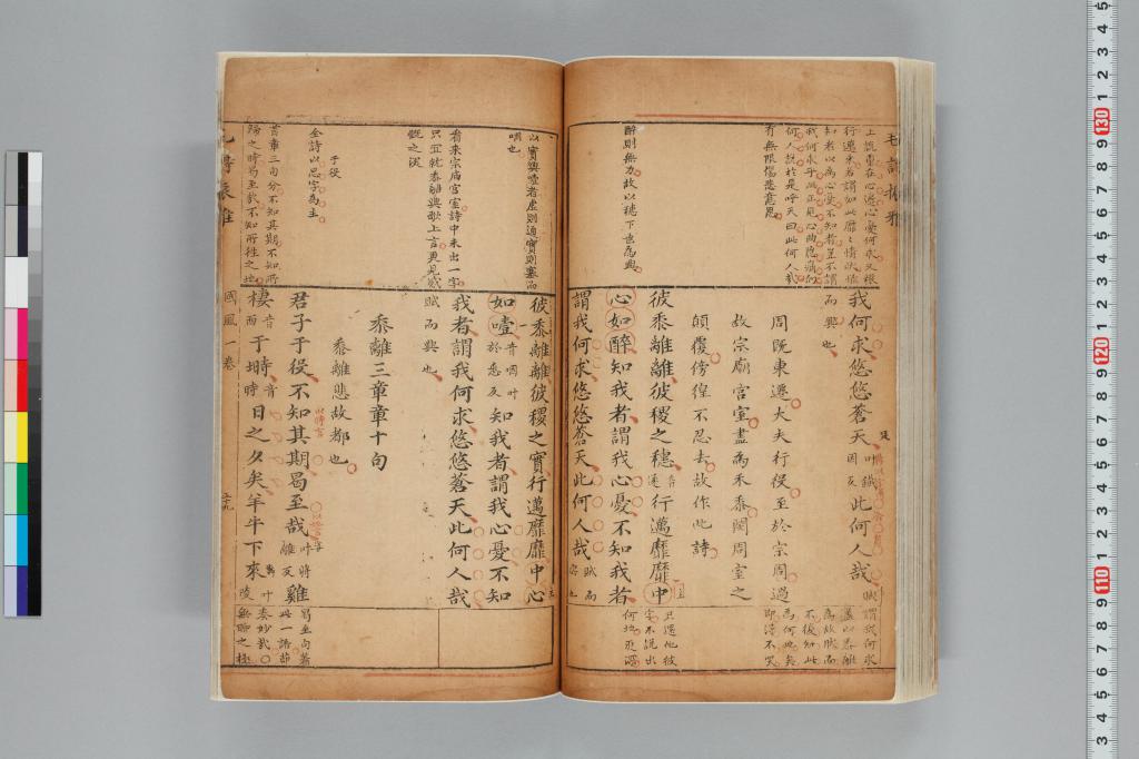 標準画像へ