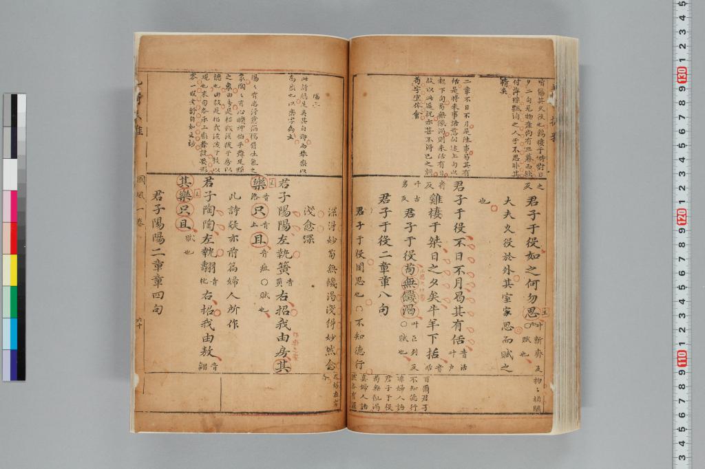 標準画像へ