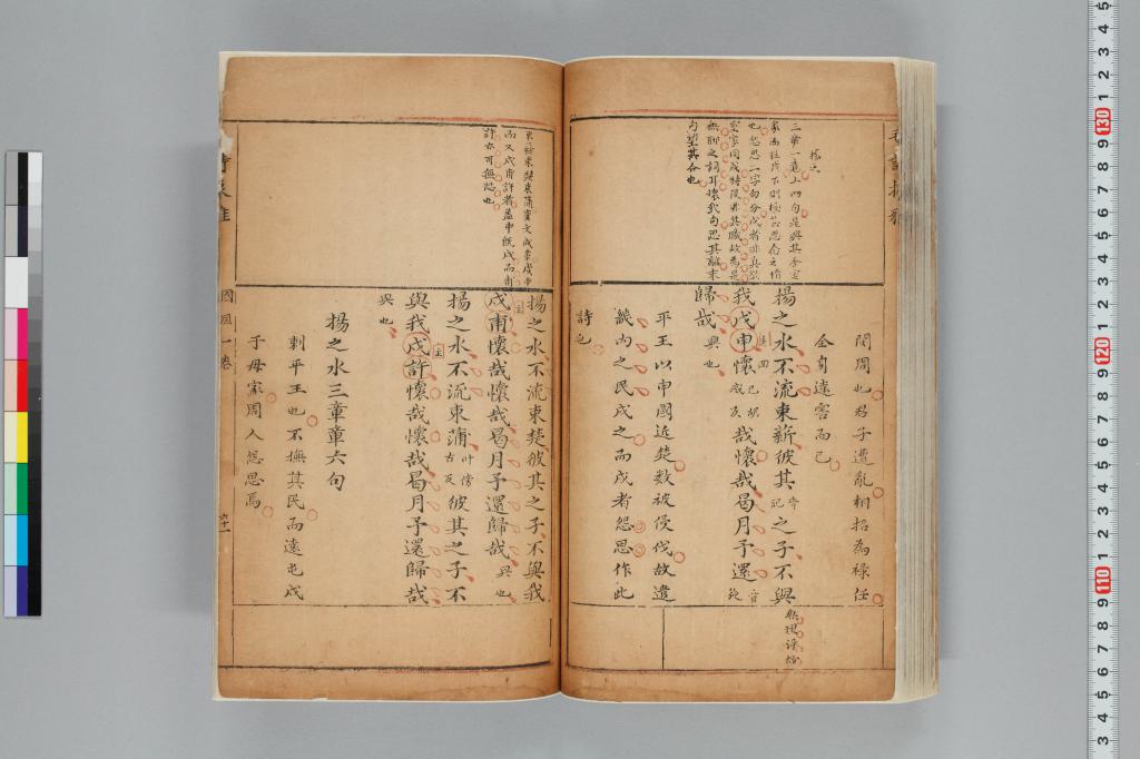 標準画像へ