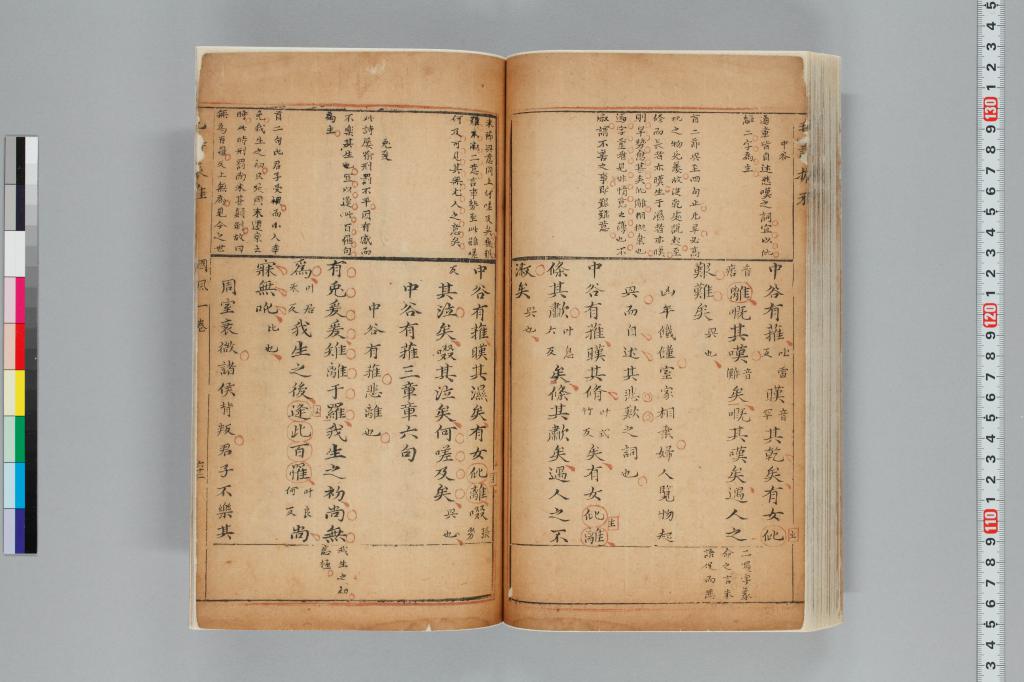 標準画像へ