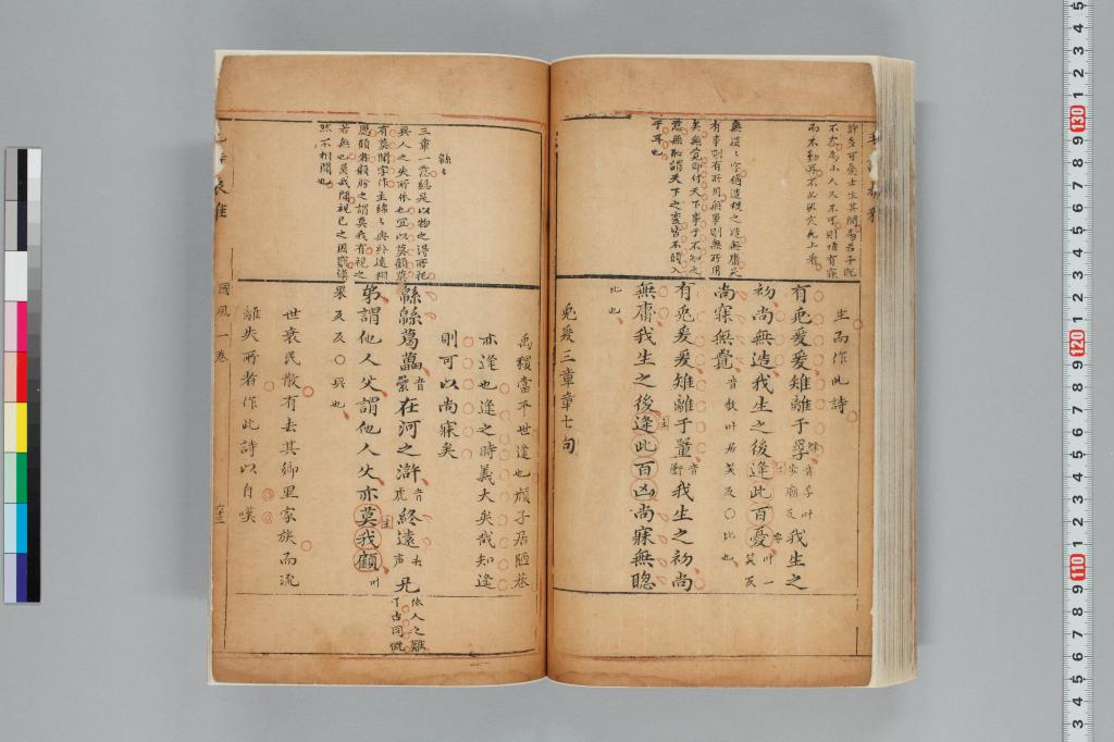 標準画像へ