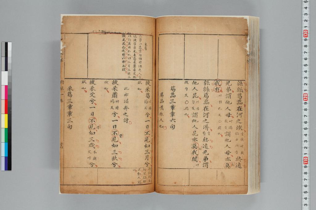 標準画像へ