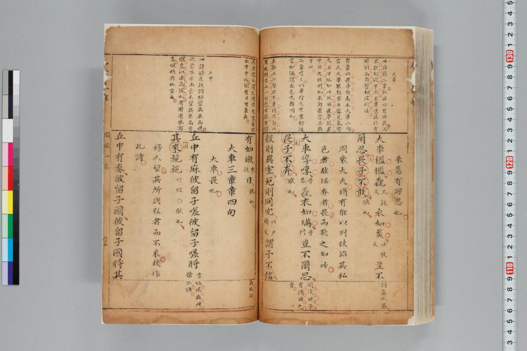標準画像へ