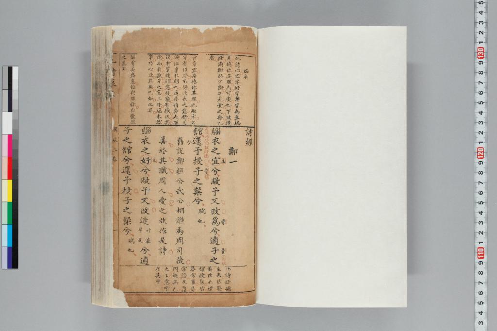 標準画像へ