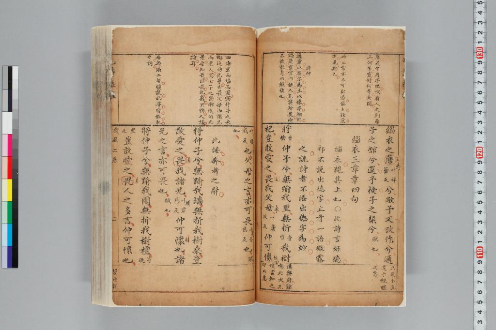 標準画像へ