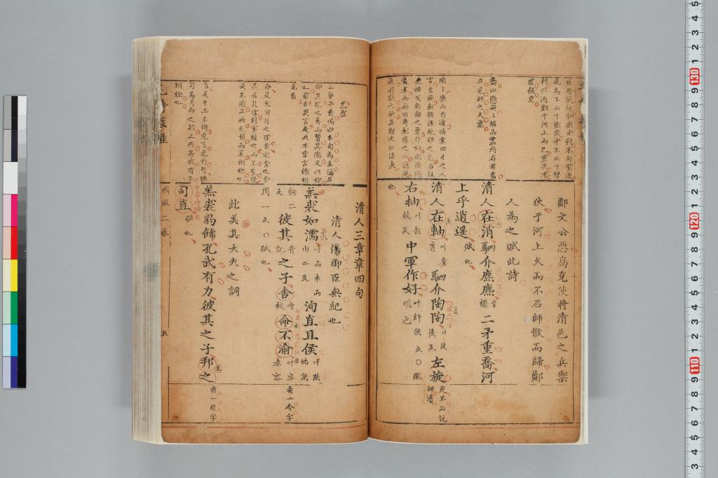 標準画像へ