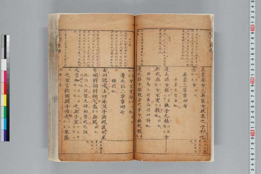 標準画像へ