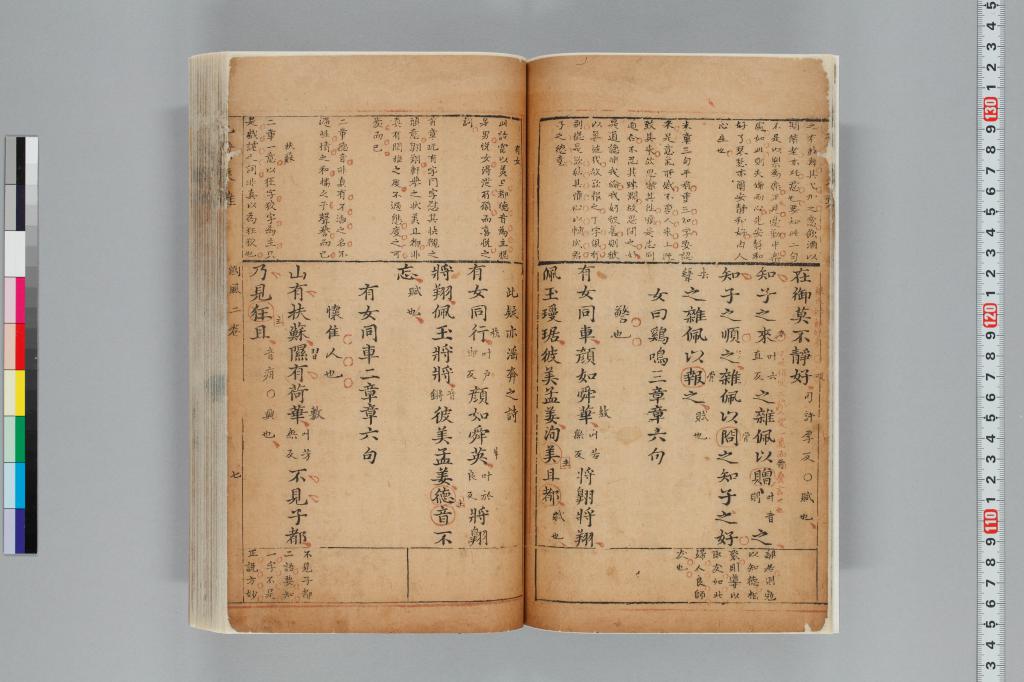 標準画像へ