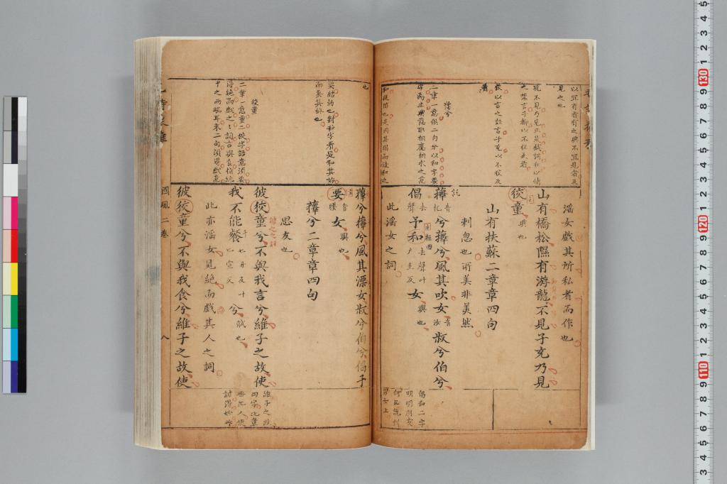 標準画像へ