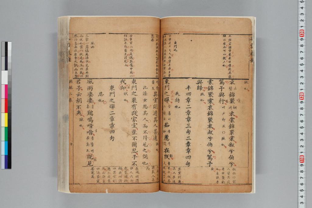 標準画像へ