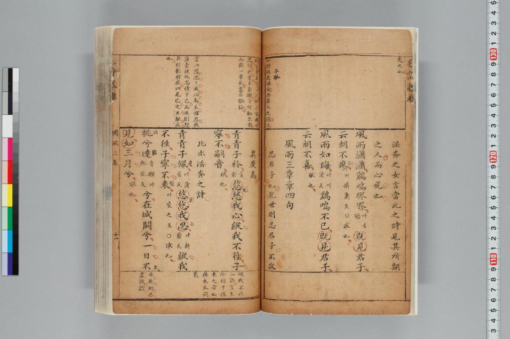標準画像へ