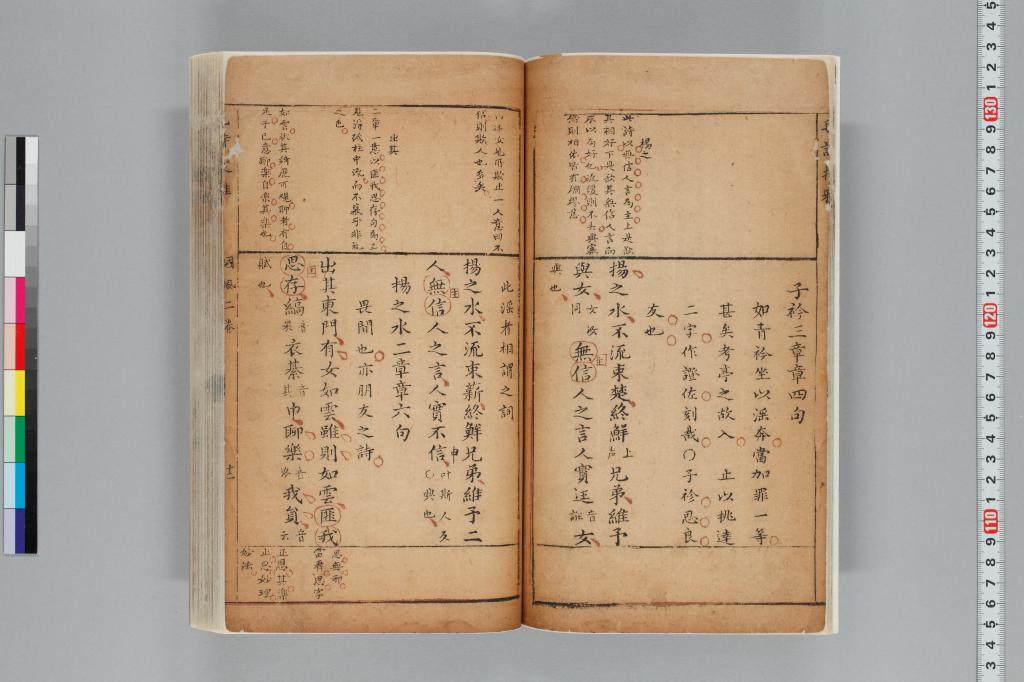 標準画像へ