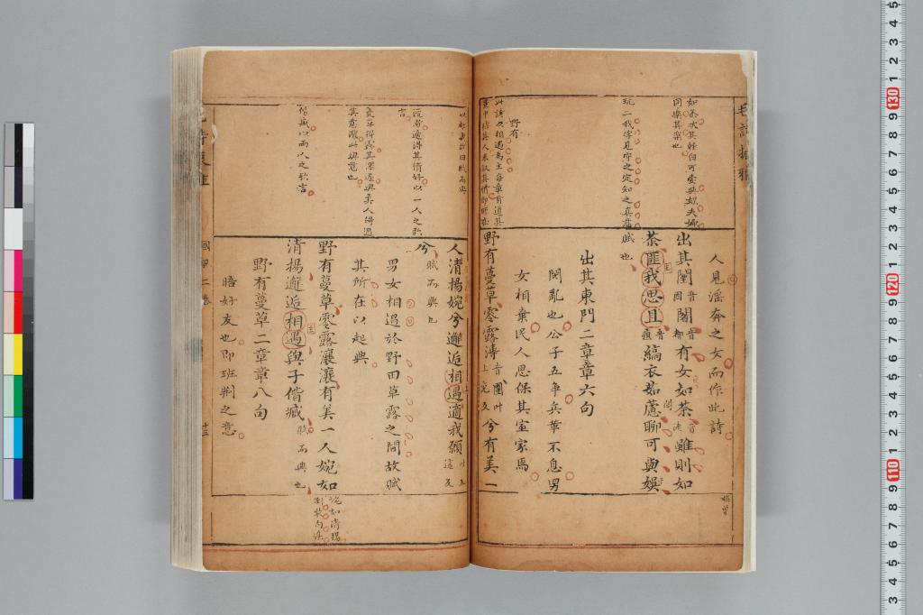 標準画像へ