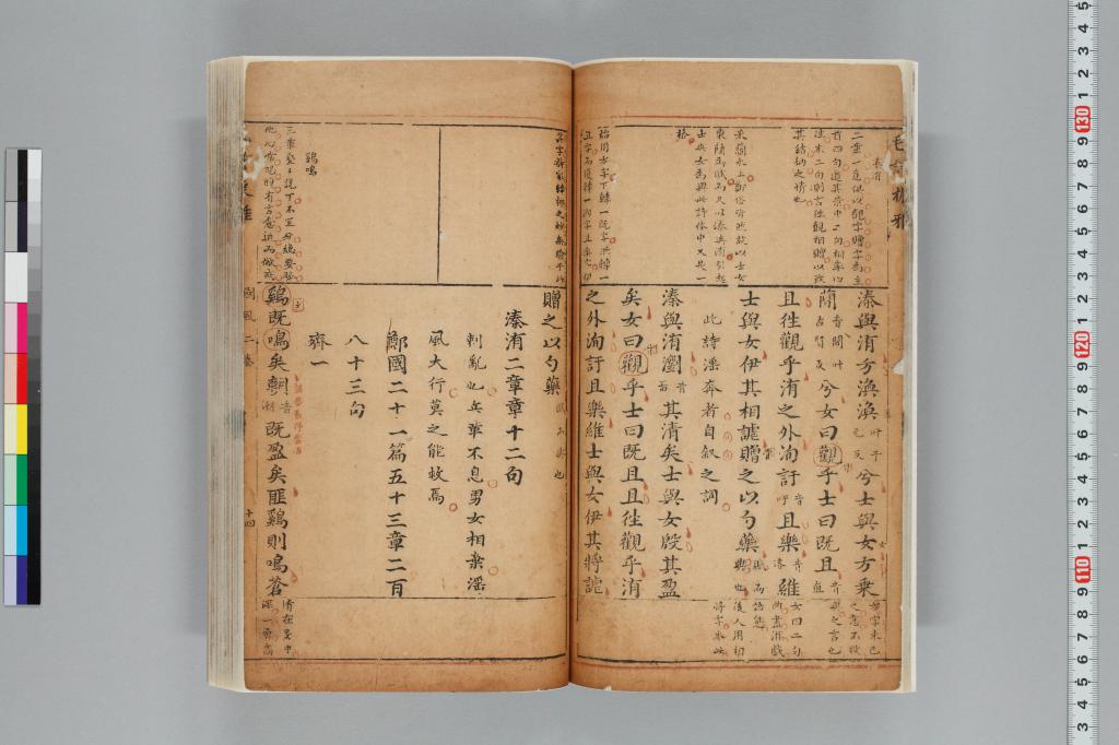 標準画像へ