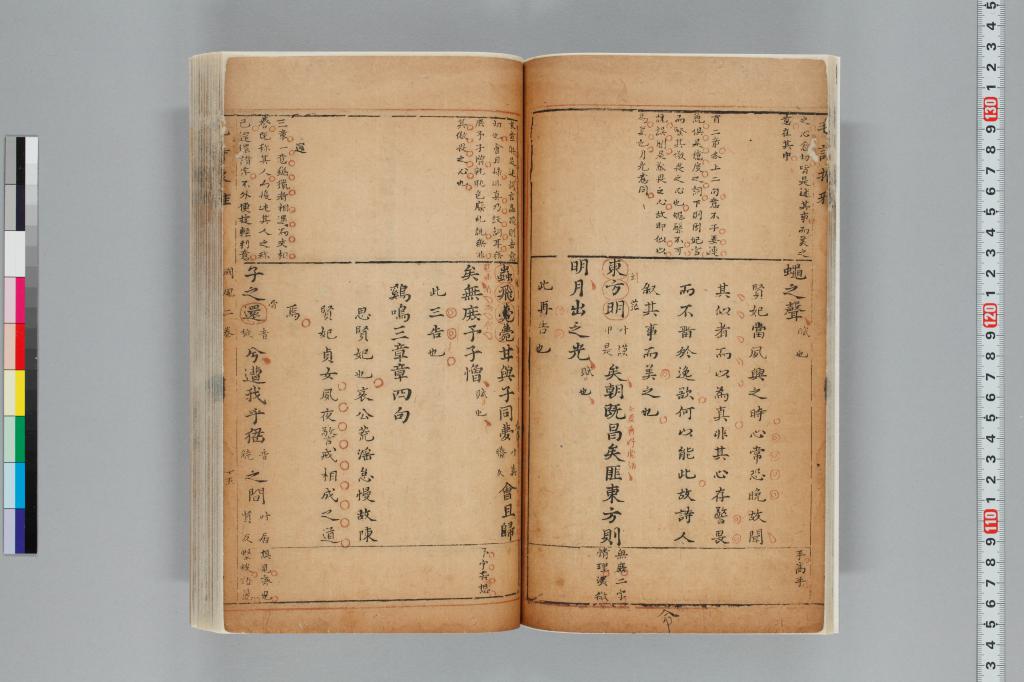 標準画像へ