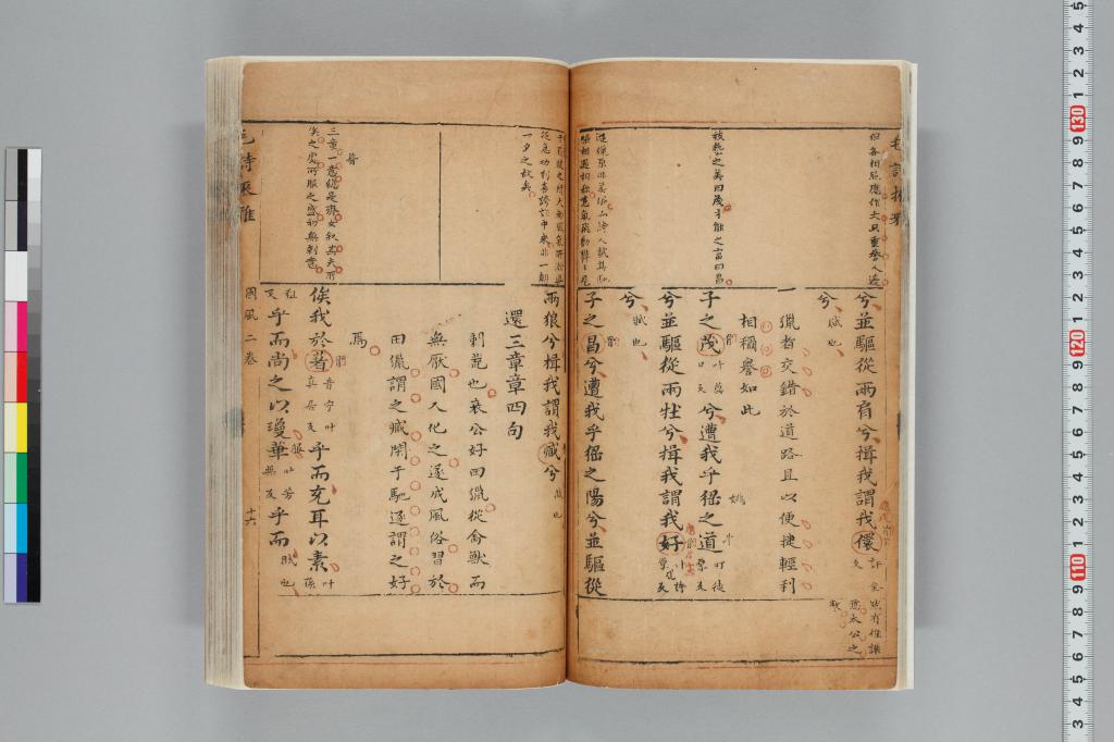 標準画像へ