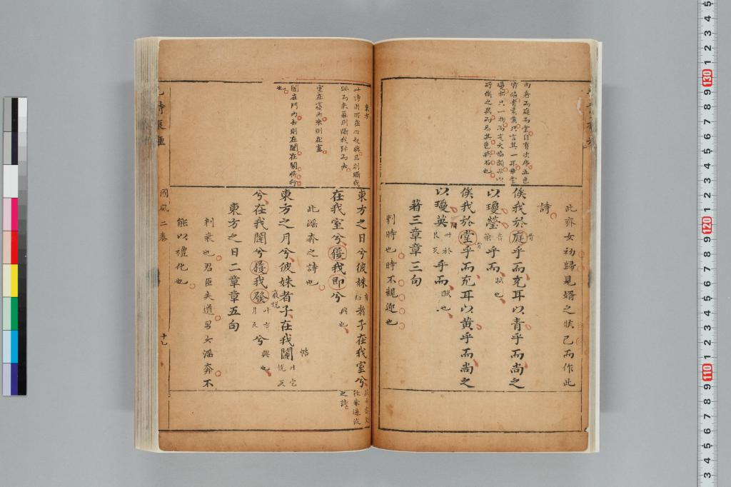 標準画像へ