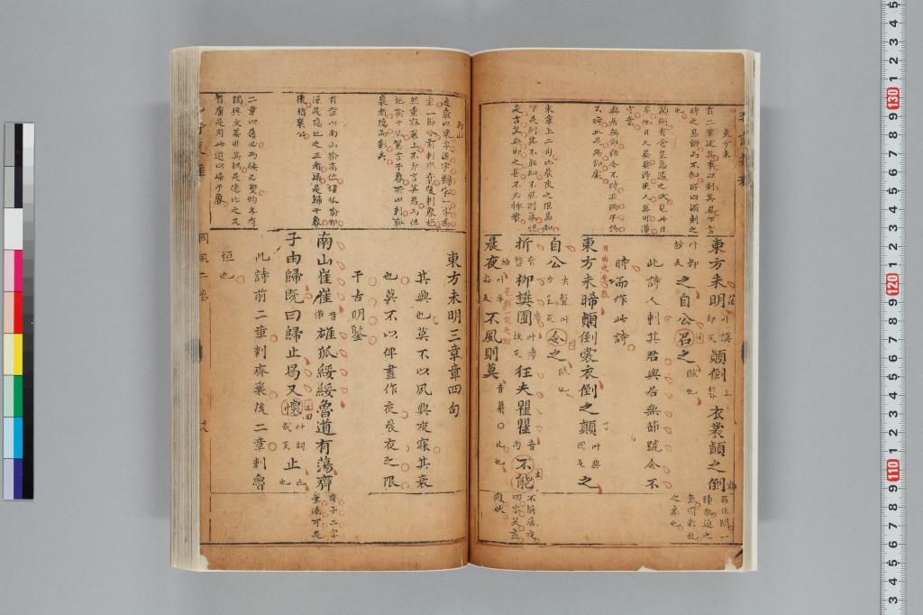 標準画像へ